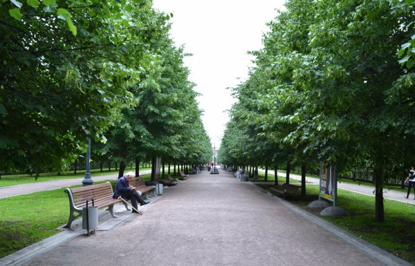 Парк на Цветном бульваре Москва сквер