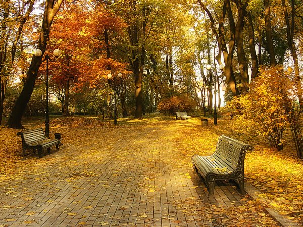 Парк осенью