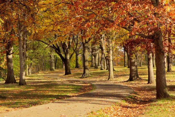 Осенний парк