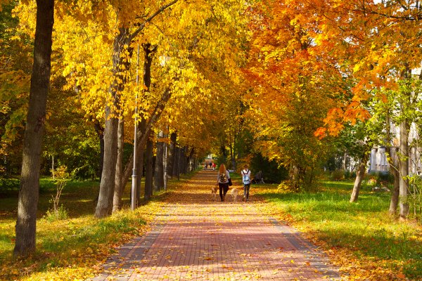 Осень природа город парк Челны