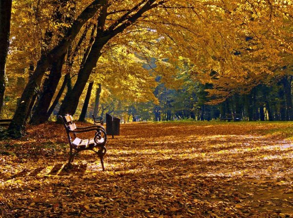 Осенью в парке