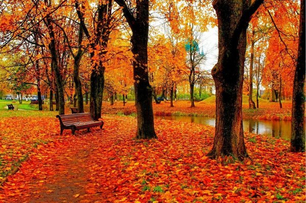 Осень в парке