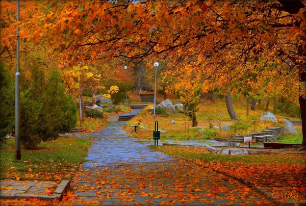 Городской парк осень