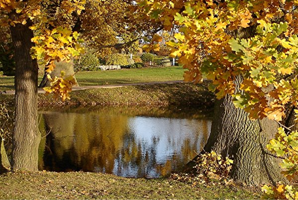 Осень парк листопад