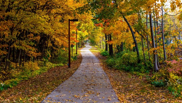 Осенний парк тропа дорожка