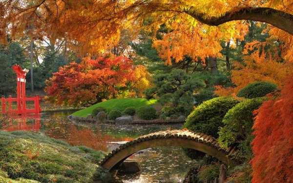 Осенний парк с мостиком