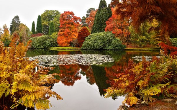 Шеффилд парк пруд