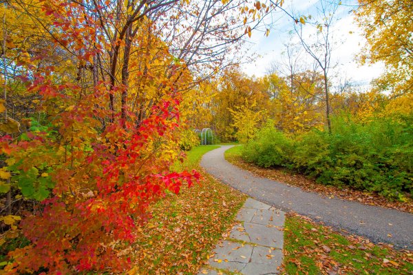 Осенняя тропинка