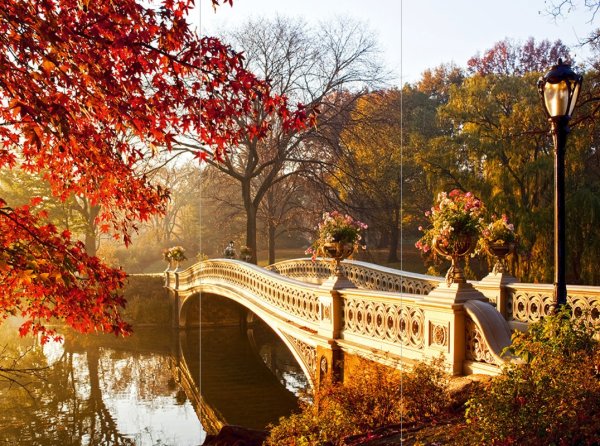 Осень в парке