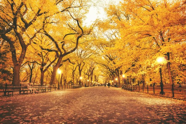 Центральный парк Нью-Йорк осенью