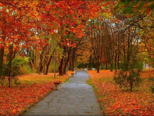 Гомель парк