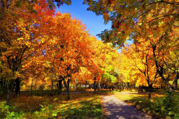 Солнечный осенний день