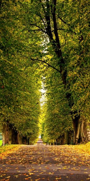 Природа парк