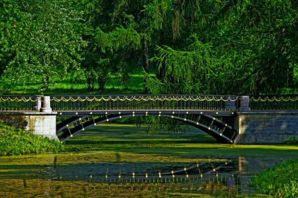 Парковые мосты Санкт-Петербург