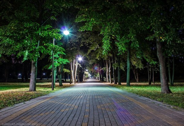 Аллея на красной улице Краснодар
