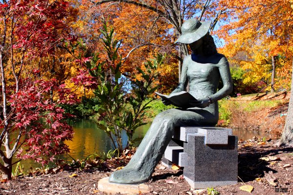 Памятники осень Пушкина Санкт Петербург