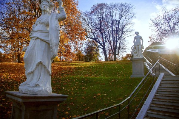 Петергоф осенью панорама