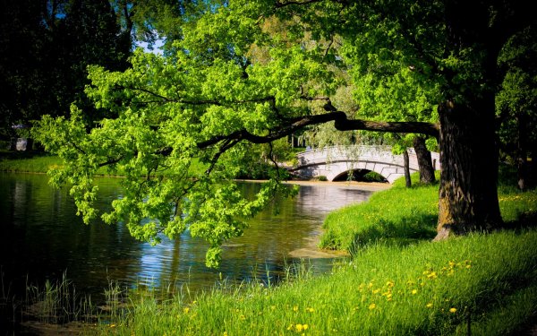 Парк с речкой