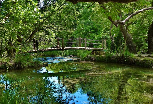 Речка мостик в лесу