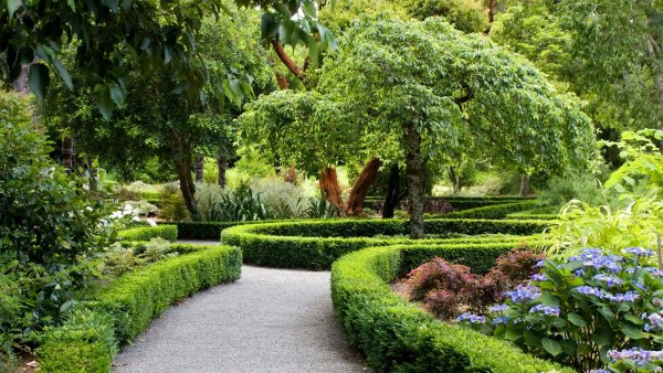 Парк Бельвиль кустарники