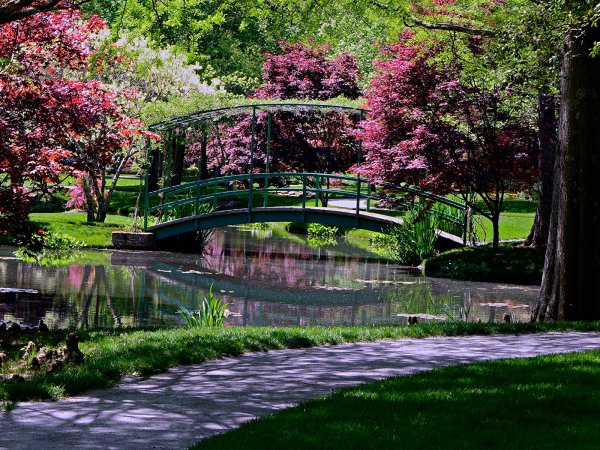 Красивые мостики в саду