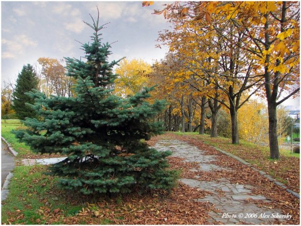 Что есть осенью