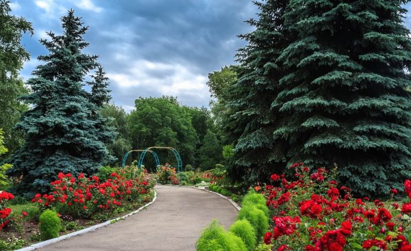 Москва парк Победы аллея голубых Елец