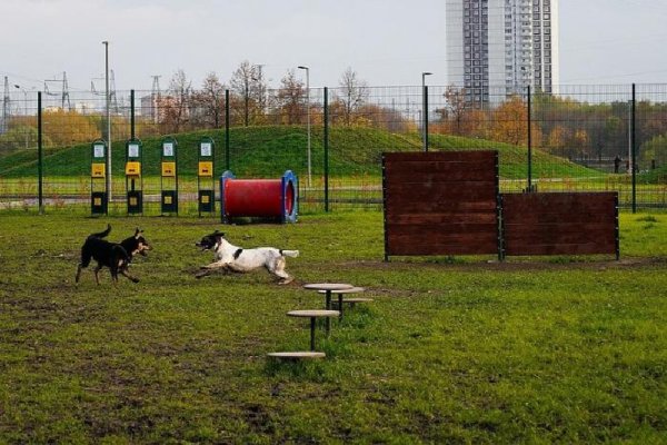Площадка для собак парк 850 летия Москвы