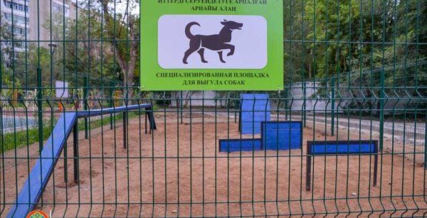 Место для выгула собак
