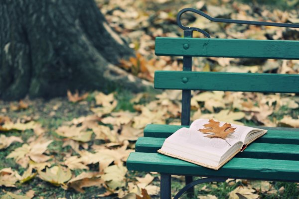 Книжка на скамейке в парке