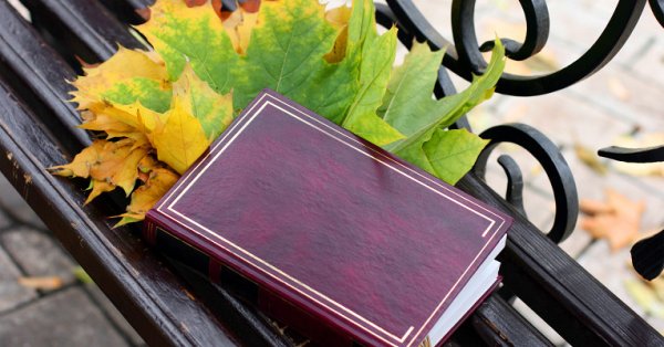 Книга на скамейке осенью