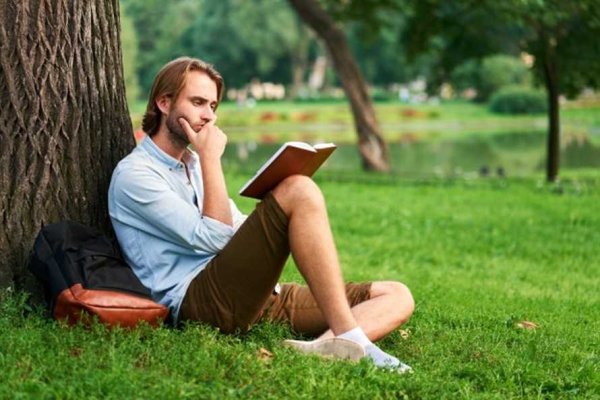 Чтение книги в парке