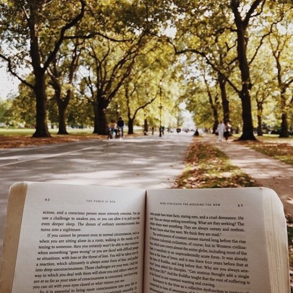 Parks книга