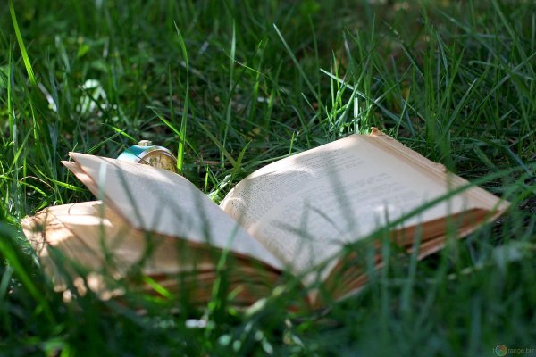 Книга на траве