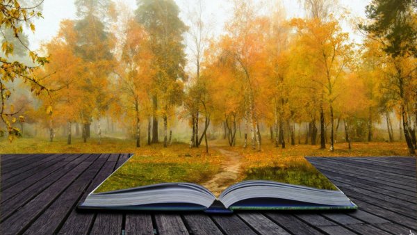 Осень книги фон