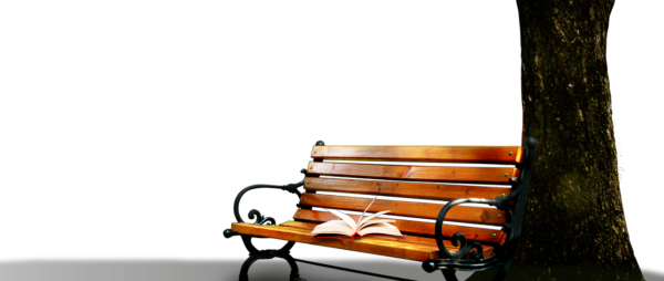 Скамейка в книжном парке