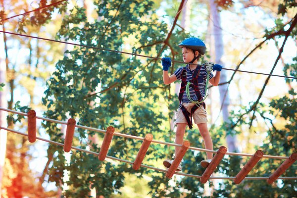 Тур сафари веревочный парк