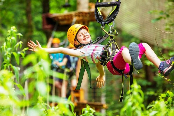 Веревочный парк Ежкины дорожки Воронеж