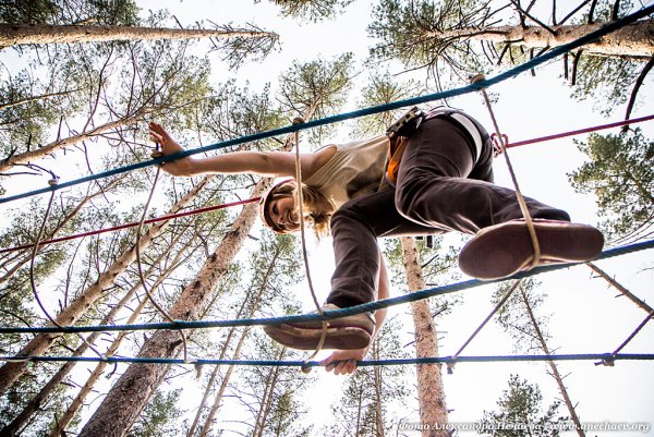 Канатный парк на деревьях