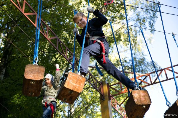 Загородный парк веревочный городок
