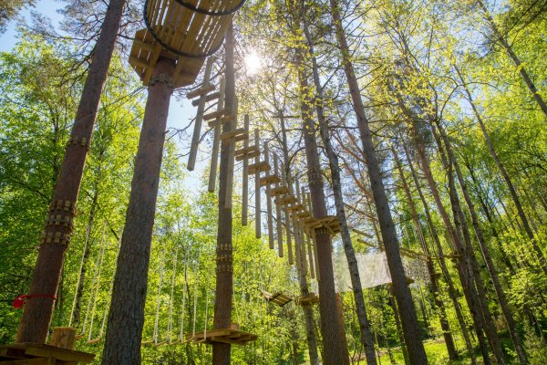 Березинский заповедник веревочный городок