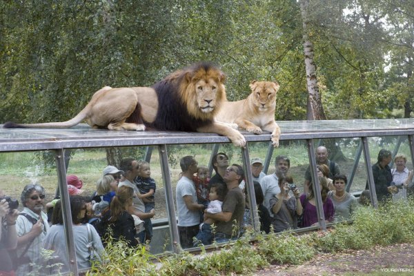 Монарх сафари парк Индия