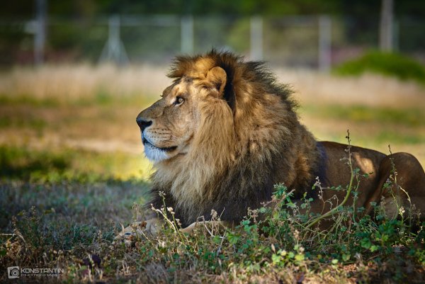 Сафари парк