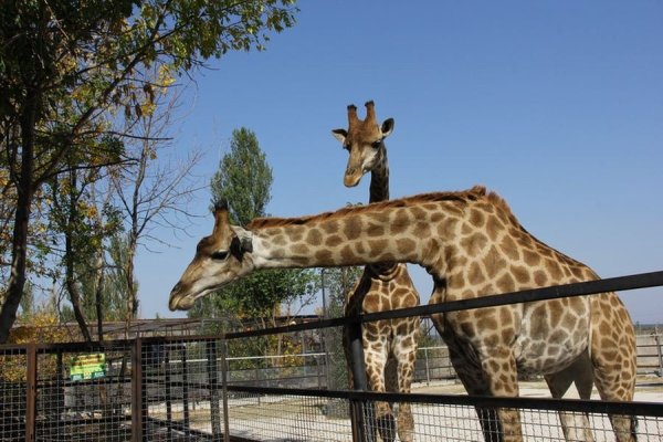 Тайган сафари парк в Крыму