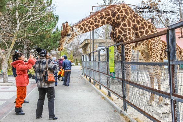 Белогорск Крым парк Львов Тайган