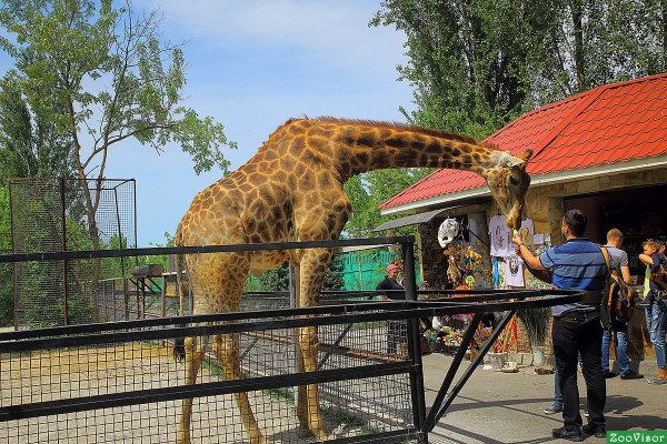 Тайган сафари парк зоопарк