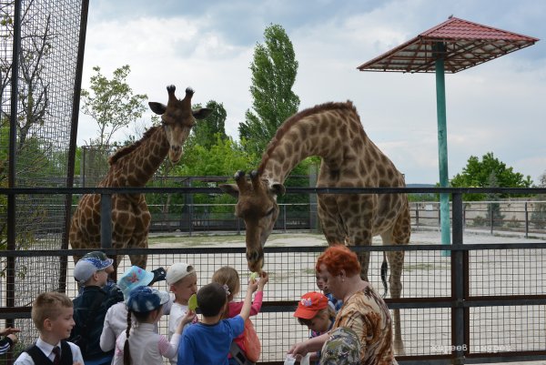 Зоопарк Тайган в Крыму