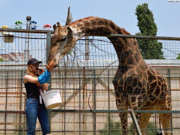 Солнечный остров Краснодар зоопарк