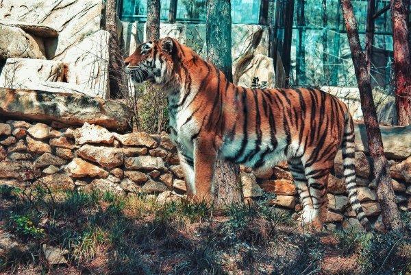 Сафари-парк Геленджик