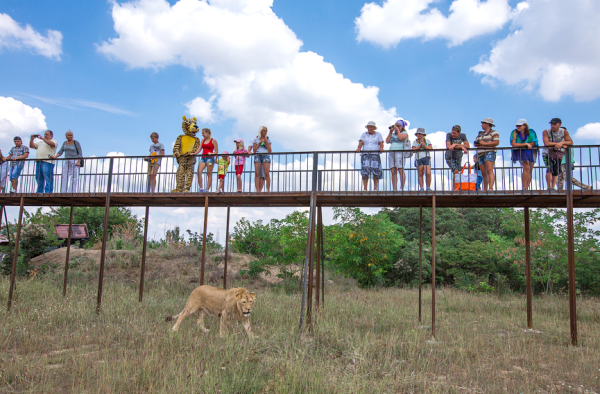 Тайган сафари парк в Крыму
